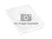 SanDisk Skyhawk - Disque SSD - 3.84 To 1EX1017