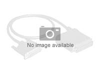 Supermicro CBL-0097L-02 - Câble SATA / SAS - avec bandes latérales - 4 voies - SATA (F) pour 4i Mini MultiLane 36 broches (M) - 50 cm CBL-0097L-02